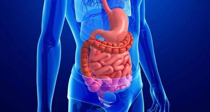 Intestinal bloating