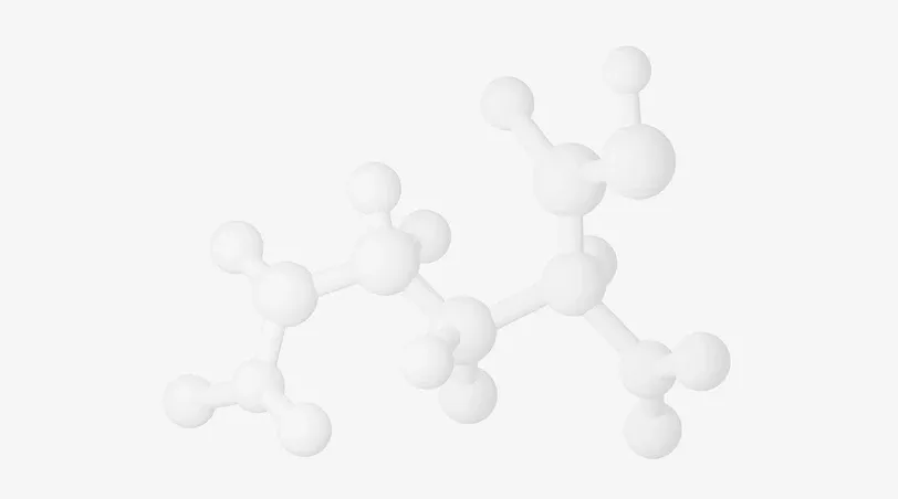 Cellular Nutrition: Energy and Regeneration