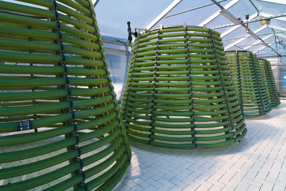 Transparent Production