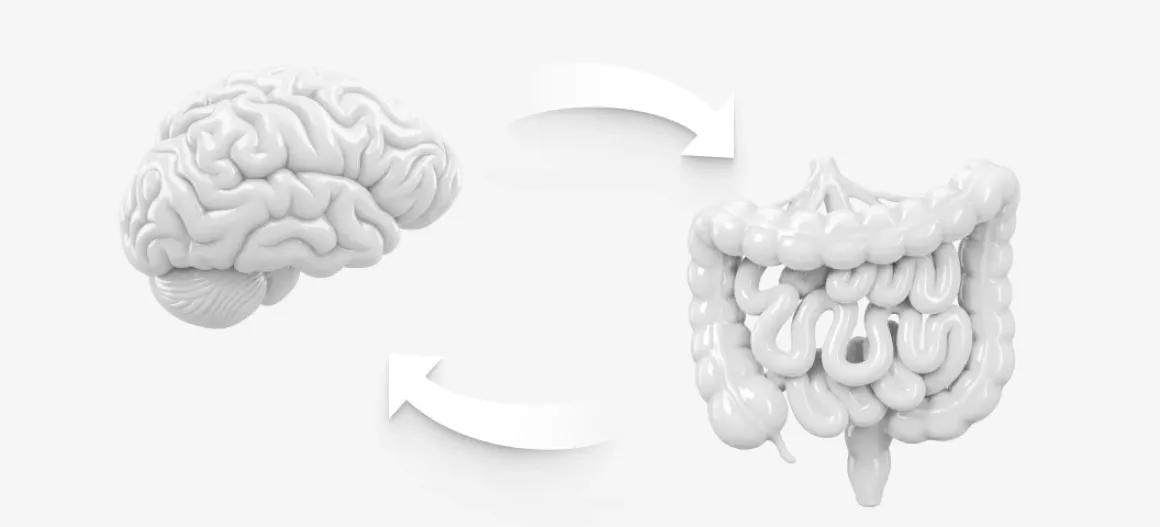 Focus & Mental Energy — When Stress Rules Life Focus & Mental Energy — When Stress Rules Life