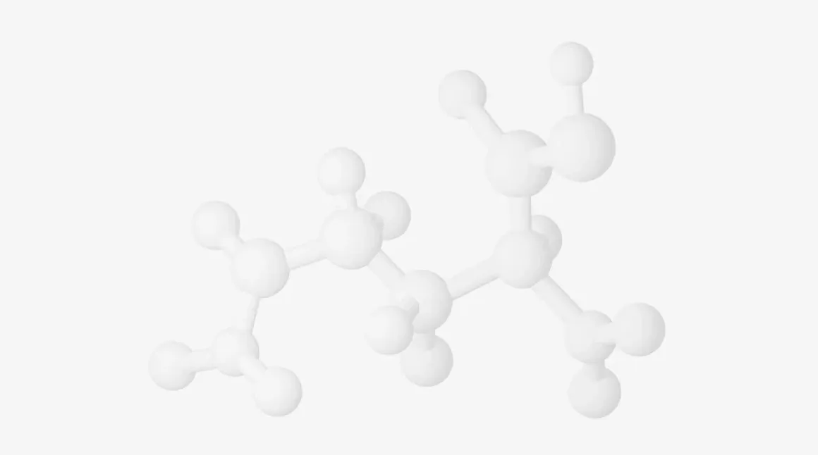 Cellular Nutrition: Energy and Regeneration Cellular Nutrition: Energy and Regeneration