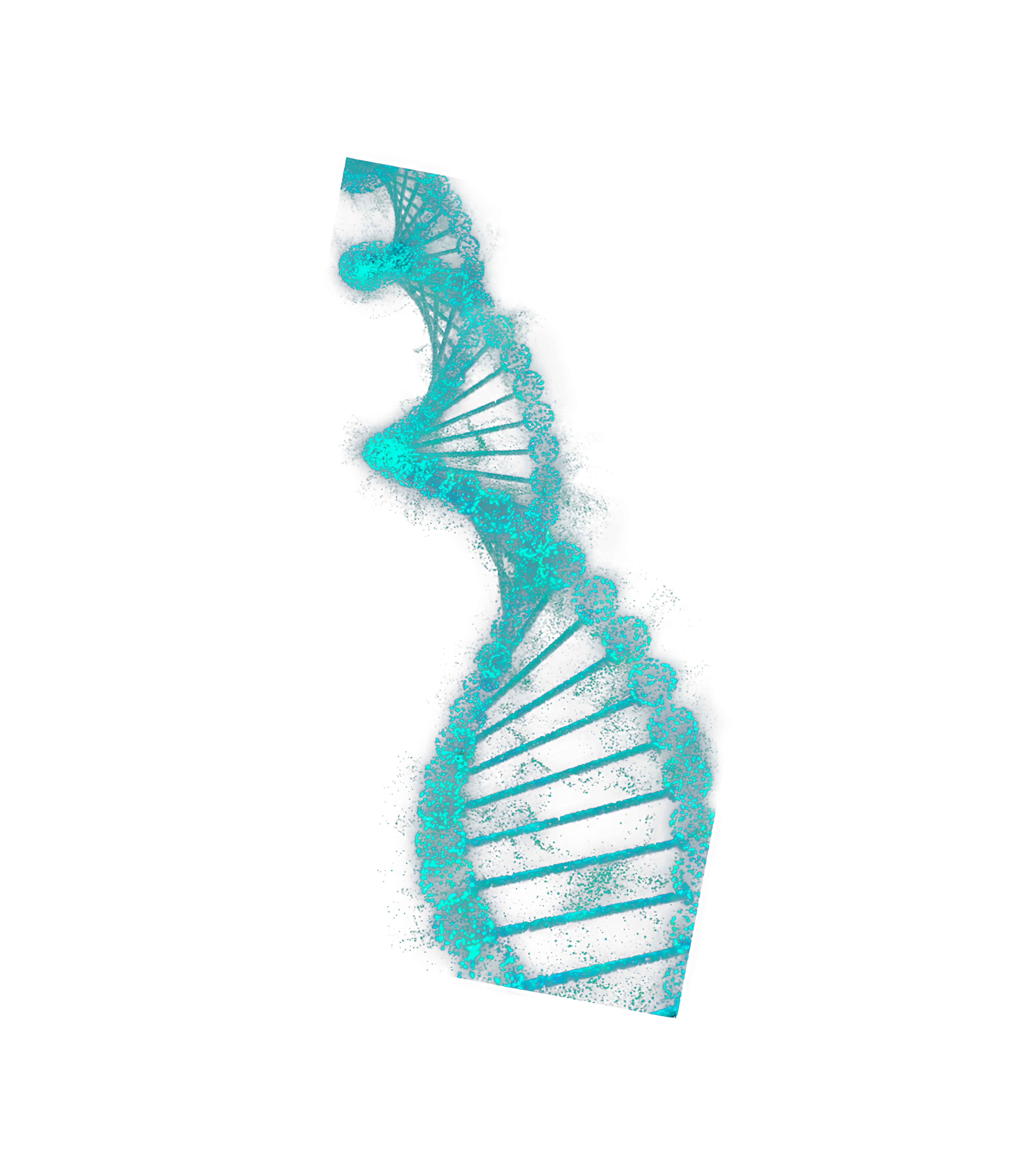 Science and experience